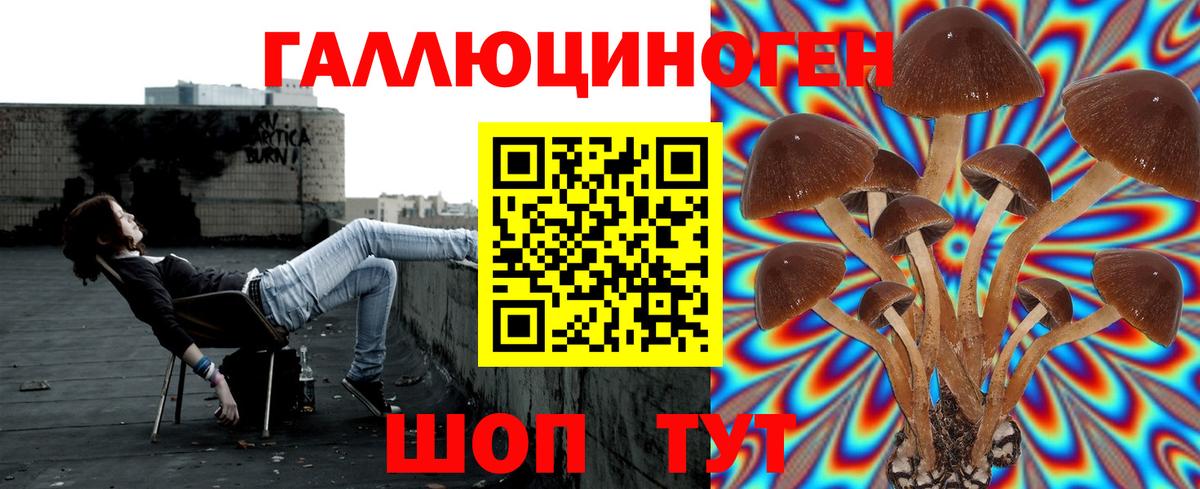 Галлюциногенные грибы MAGIC MUSHROOMS Новозыбков