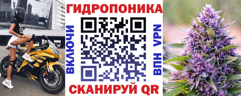 Каннабис LSD WEED blacksprut tor Новозыбков