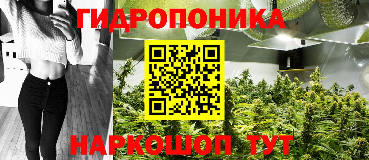 Каннабис VHQ  Вход с VPN  Бошки Шишки VHQ  Шишки марихуана сатива  Новозыбков  Шишки марихуана планчик 
